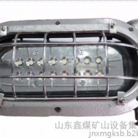 DGS16/127L（A）矿用隔爆型LED支架灯
